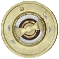 Case - IH JX90U Maxxima 98463637GP NH termostatas