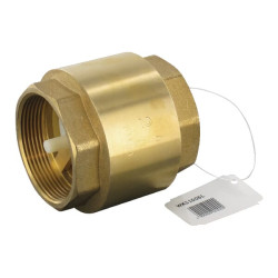 Atbulinis vožtuvas 2" WK51006L