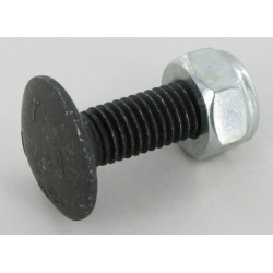 Specialus varžtas M 10x30 FM151030