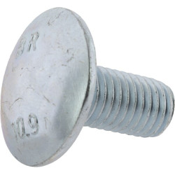 Įleidžiamos galvutės varžtas M12x25 5036010510N