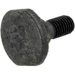 Peilio varžtas 10X32, sena versija 154005506