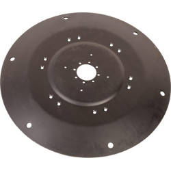 Pjovimo diskas Ø 850 06567379RM