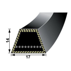 Diržų komplektas VLM9806