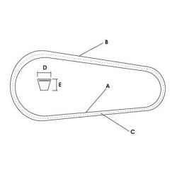 Pavaros diržų komplektas (x4) VLD4081