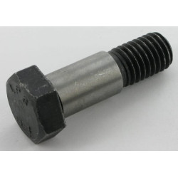 Varžtas su plokščia galvute ESM 5603200