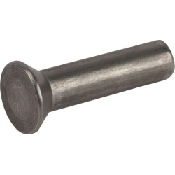 Kniedė 5x20 0,5 kg 5440171AD