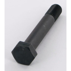 Šešiakampis varžtas M14x88 Nicolas 484846