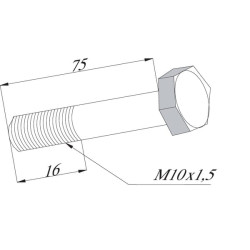 Šešiakampis varžtas M10x75/16 12,9 91090026