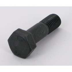 Šešiakampis varžtas M14x48 BH0310