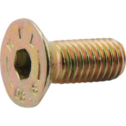 Įleidžiamas varžtas 9040241