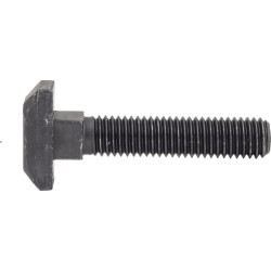 Atlaisvintas T formos varžtas M10x48 C KV0118