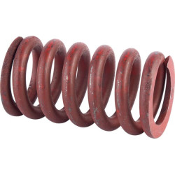 Įtempiklio spyruoklė 3025180649