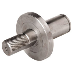 Diskinio noragėlio ašis. 55655644270140