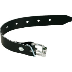 Sagties dirželis, juodas L300 mm, P20 mm, storis 2,1 mm PL11885