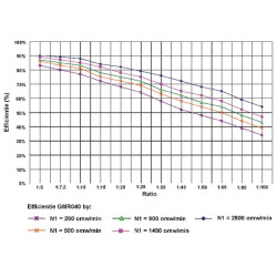 Sliekinės pavaros reduktorius I  10 GMR0401071B14