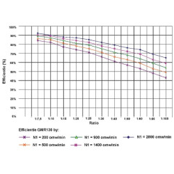 Sliekinės pavaros reduktorius I  80 GMR1308090B5
