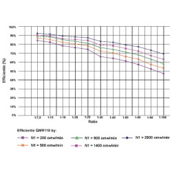 Sliekinės pavaros reduktorius I  40 GMR11040112B5
