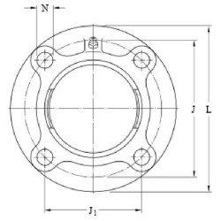 Guolio korpusas FYC513