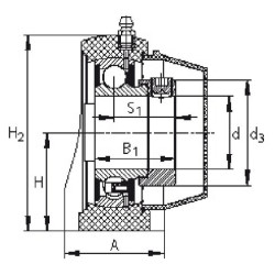 Guolio dangtelio apsauga PASE20TVFA1255