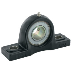 Guolių dangtelio apsauga PASE30TVFA1255