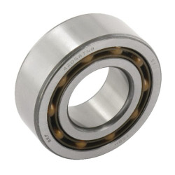 Guolių mazgas FYTJ50KF