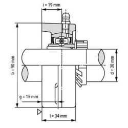 Pilnas guolių blokas UKFL207