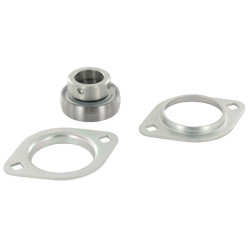 Koreguotas guolio korpusas RALT20FA1258