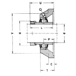 Pilnas kvadratinis flanšo guolis RCJ120