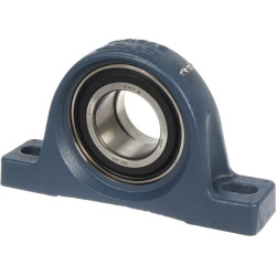 Korpuso blokas SY SKF SY55FMSKF