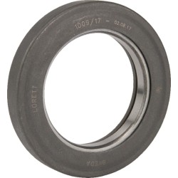 Case - IH 840 500028300 Atlaisvinimo guolis