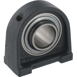 RSHEY pagrindo guolio korpusas RSHEY25N