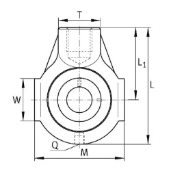Spaustuko guolio mazgas PHEY35