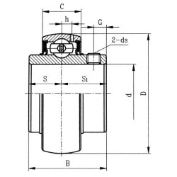 Guolio įdėklas 15x47x16,8mm INA/FAG UC202INA