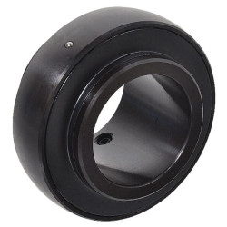 Guolio įdėklas 65x120x29.4mm INA/FAG UC213INA