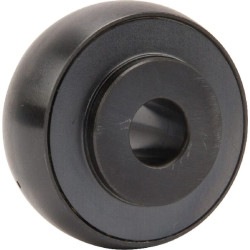 Guolio įdėklas 12x47x16,8mm INA/FAG UC201