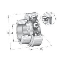 Guolio įdėklas 30x55x13mm INA/FAG RALE30NPP