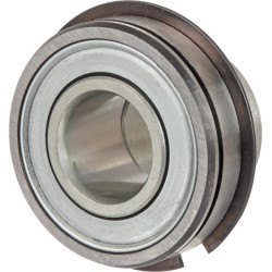 Radialinis įdėklinis rutulinis guolis RAE20XLNPPNR