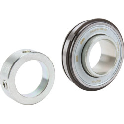 Radialinis įdėklinis rutulinis guolis RAE40XLNPPNR