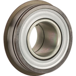 Radialinis įdėklinis rutulinis guolis RAE25XLNPPNR