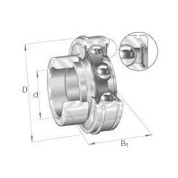 Radialinis įdėklinis rutulinis guolis RAE25XLNPPNR