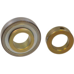 Guolio įdėklas 1" / 25,4x52x15mm INA/FAG RA100NPP