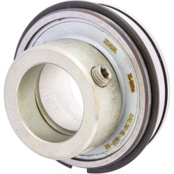 Radialinis įdėklinis rutulinis guolis RAE30XLNPPNR