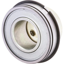 Radialinis įdėklinis rutulinis guolis RAE30XLNPPNR