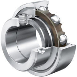 Guolio įdėklas 60x110x24mm INA/FAG RAE60NPP