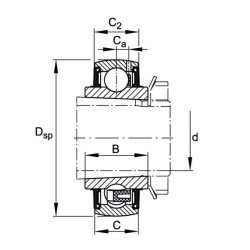 Guolio įdėklas 25x62x19mm INA/FAG UK206