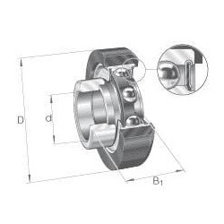 Guolio įdėklas 20x46x18.3mm INA/FAG RCRA2046FA106