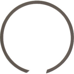 Vidinis fiksuojamasis žiedas 47x1,5 mm IDC ® BR47