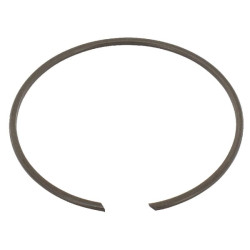 Vidinis fiksuojamasis žiedas 81x2 mm IDC ® BR81