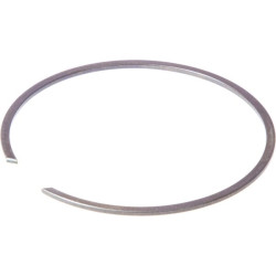 Vidinis 60x1,5 mm IDC ® BR60 fiksavimo žiedas