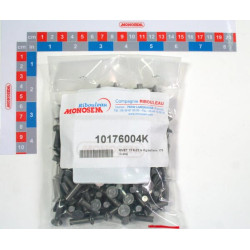 Kniedės TF 6-22 1 kg  apie 175 kniedės 10176004K